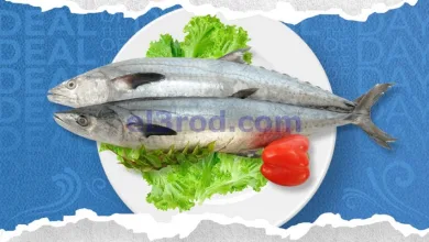 el3rod.com00003
