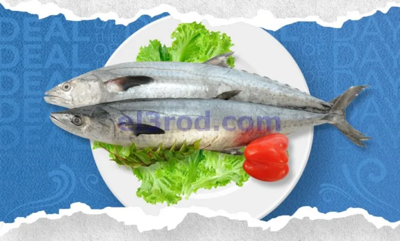el3rod.com00003