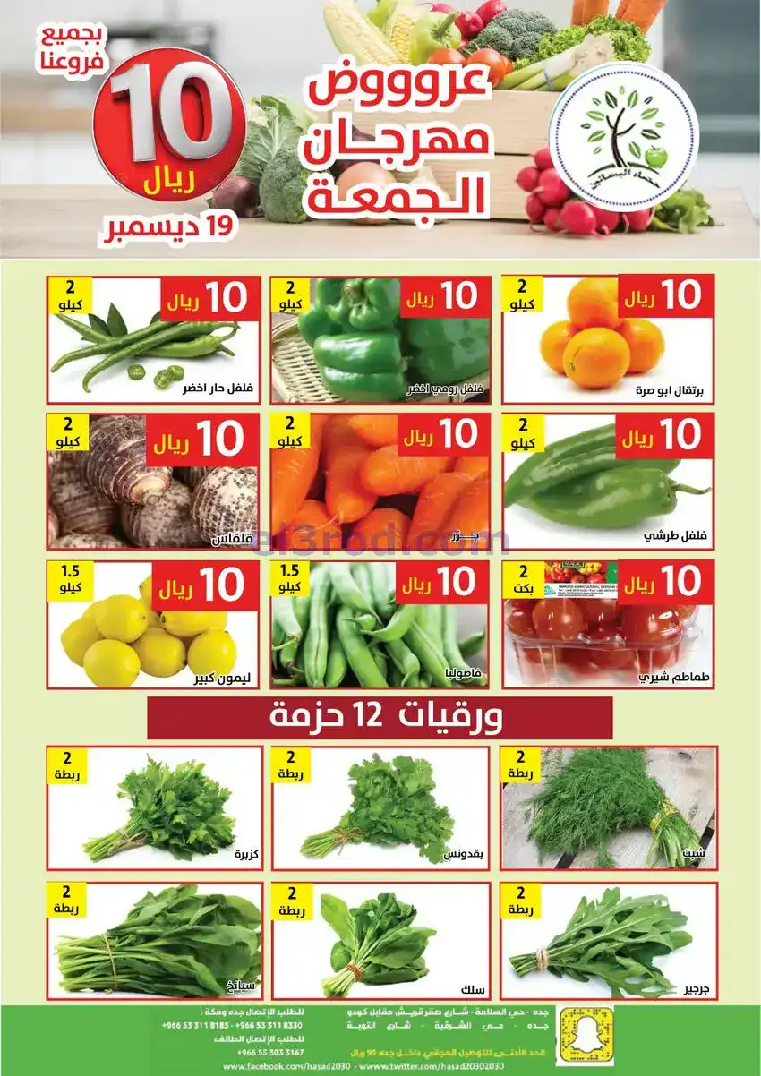 عروض مؤسسة حصاد البساتين السعودية|19-12-2025