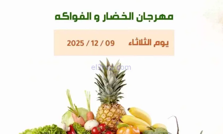 el3rod.com00004