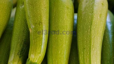 el3rod.com00004