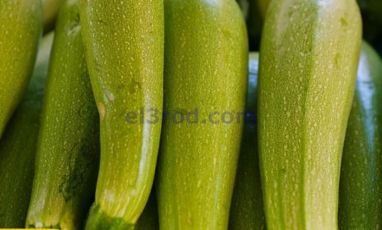 el3rod.com00004