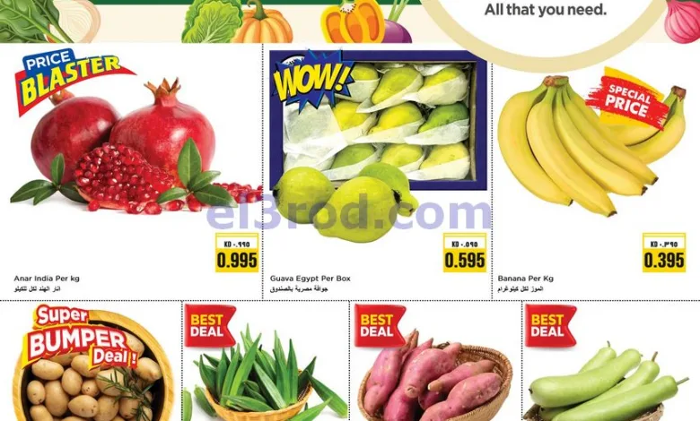 el3rod.com00004