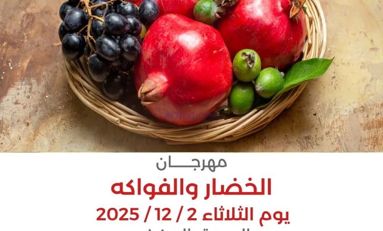 el3rod.com00008