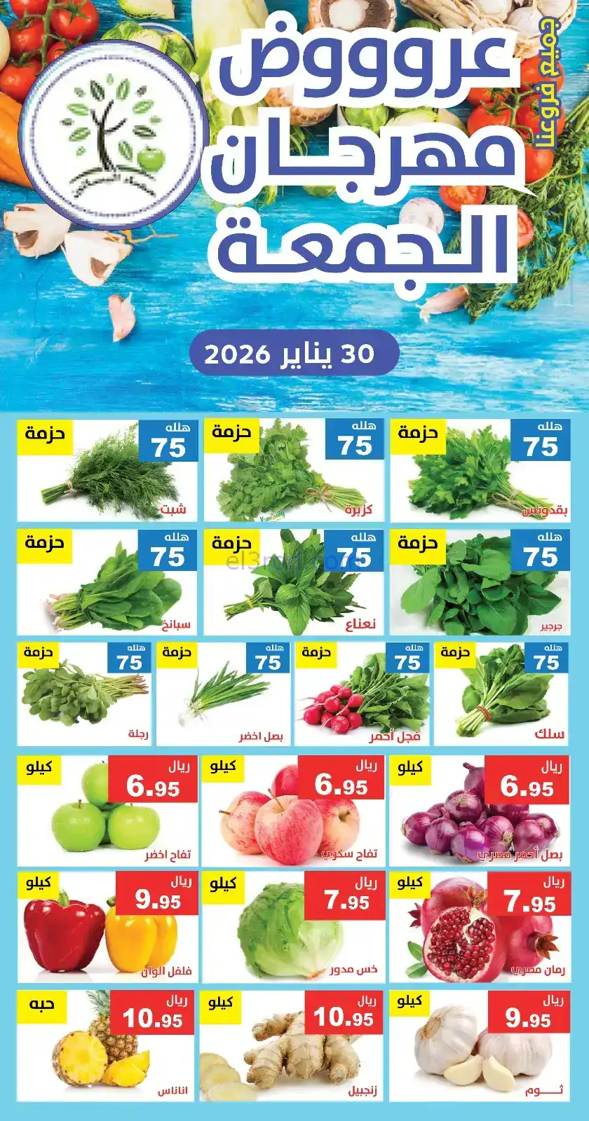 عروض مؤسسة حصاد البساتين سعودية|الجمعة|30-1-2026