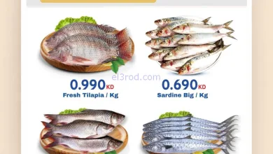 el3rod.com00001