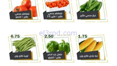 el3rod.com00001