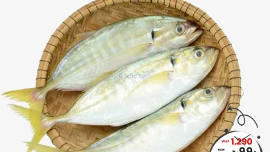 el3rod.com00001