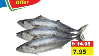 el3rod.com00001