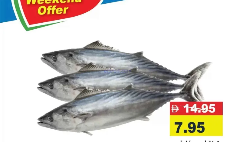 el3rod.com00001