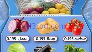 el3rod.com00001