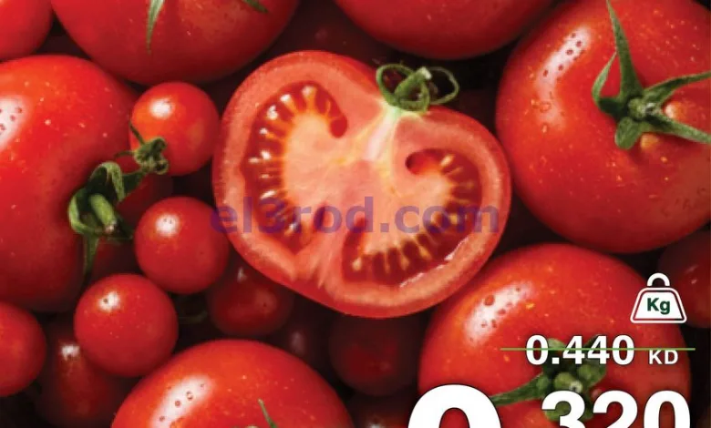 el3rod.com00001