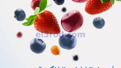 el3rod.com00001