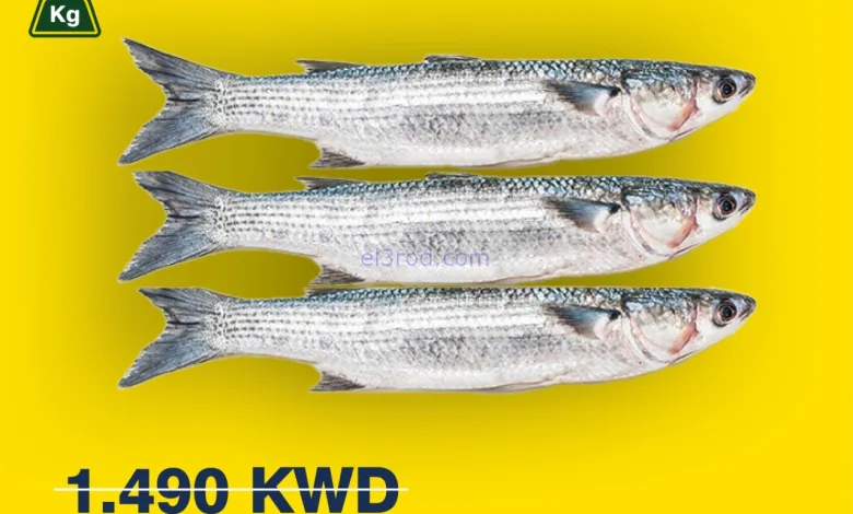 el3rod.com00002
