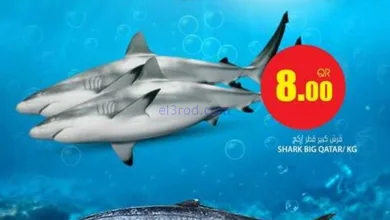 el3rod.com00003