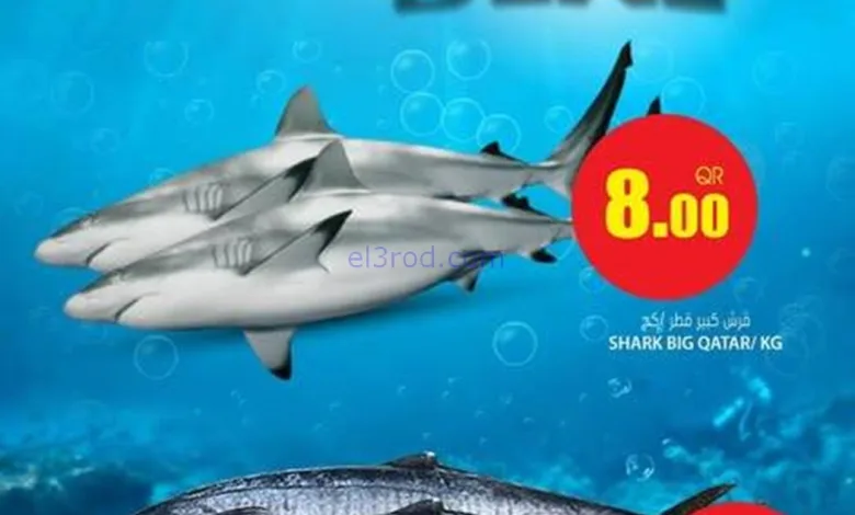 el3rod.com00003