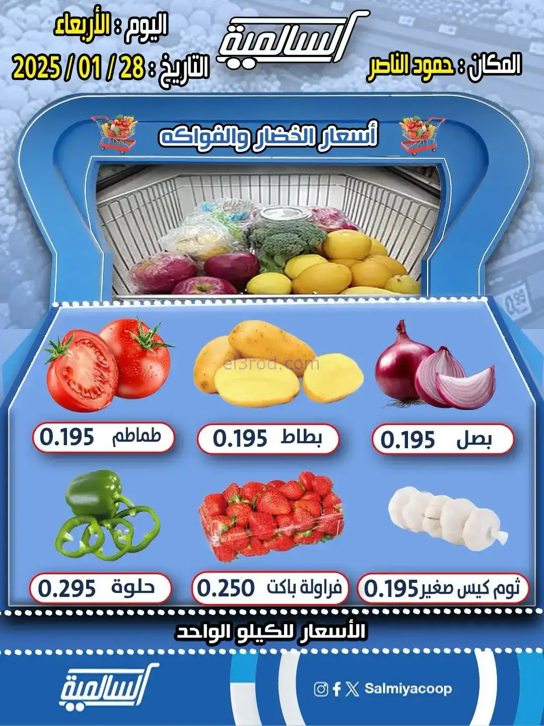 عروض جمعية السالمية حمود الناصر|28-1-2026