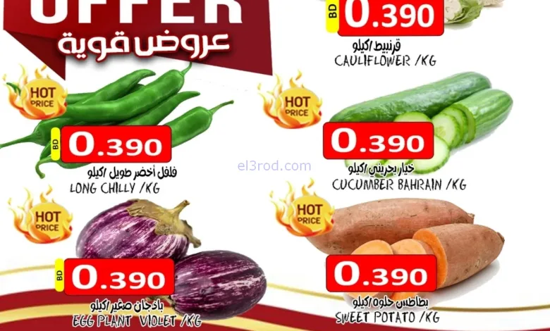 el3rod.com00004