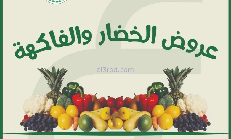 el3rod.com00004