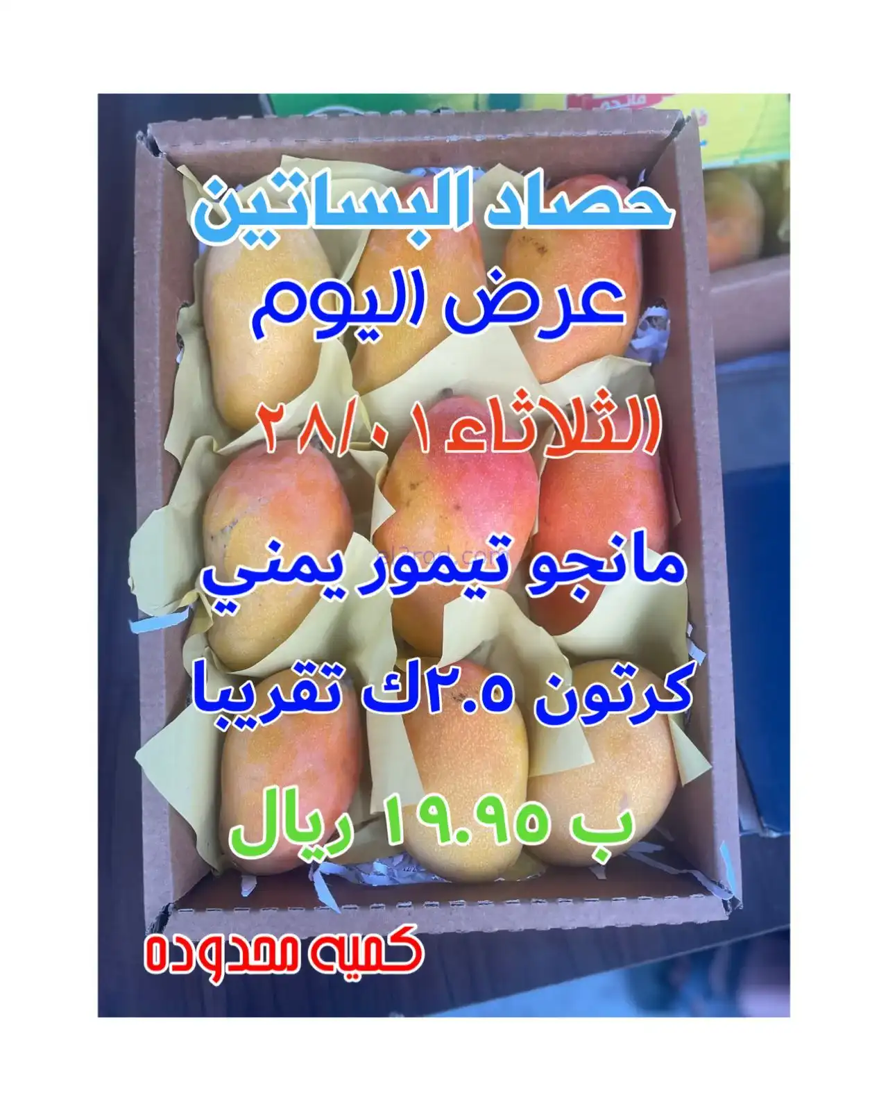 عروض مؤسسة حصاد البساتين|مانجو|27-1-2026