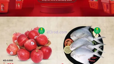 el3rod.com00005