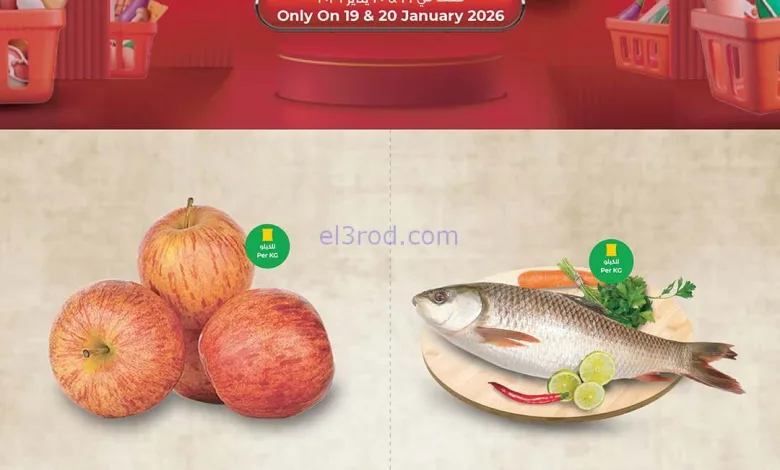 el3rod.com00009