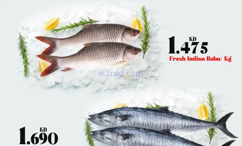 el3rod.com00011