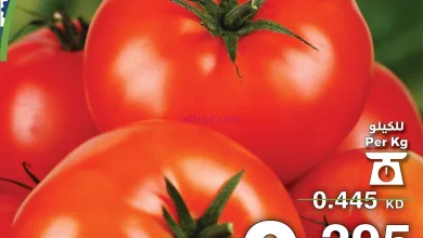 el3rod.com00011