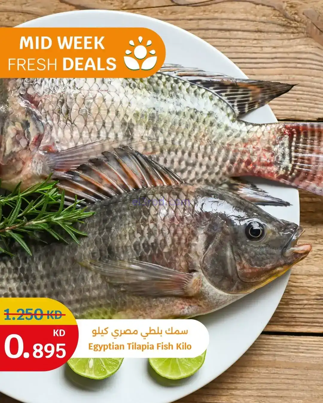 عروض سيتى ماركت الكويت|طازجة|26 حتى 27-1-2026