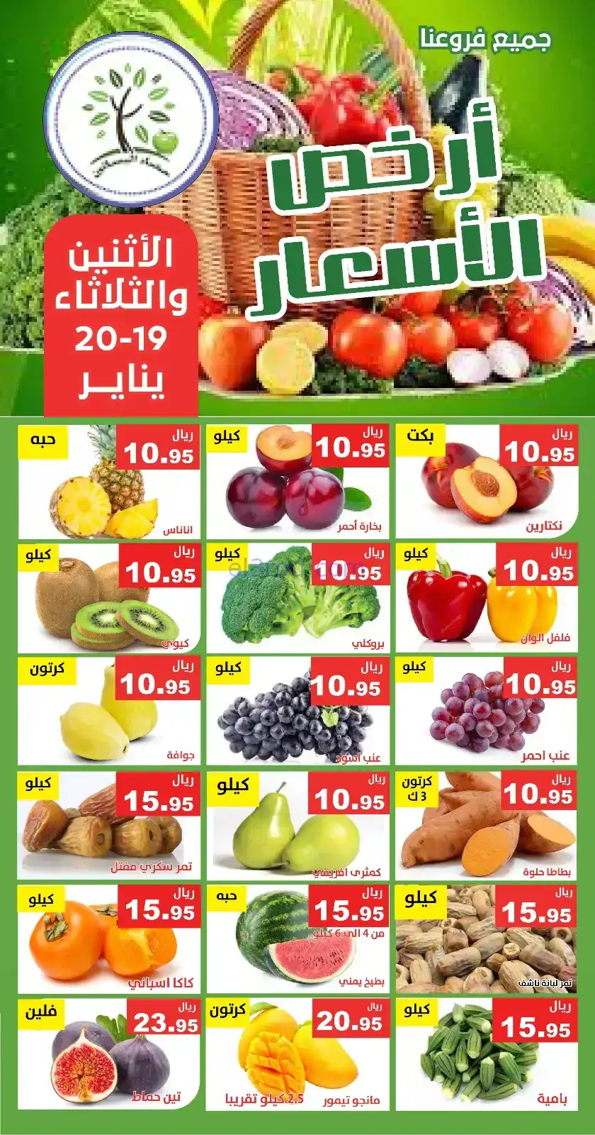 عروض مؤسسة حصاد البساتين سعودية|19 حتى 20-1-2026