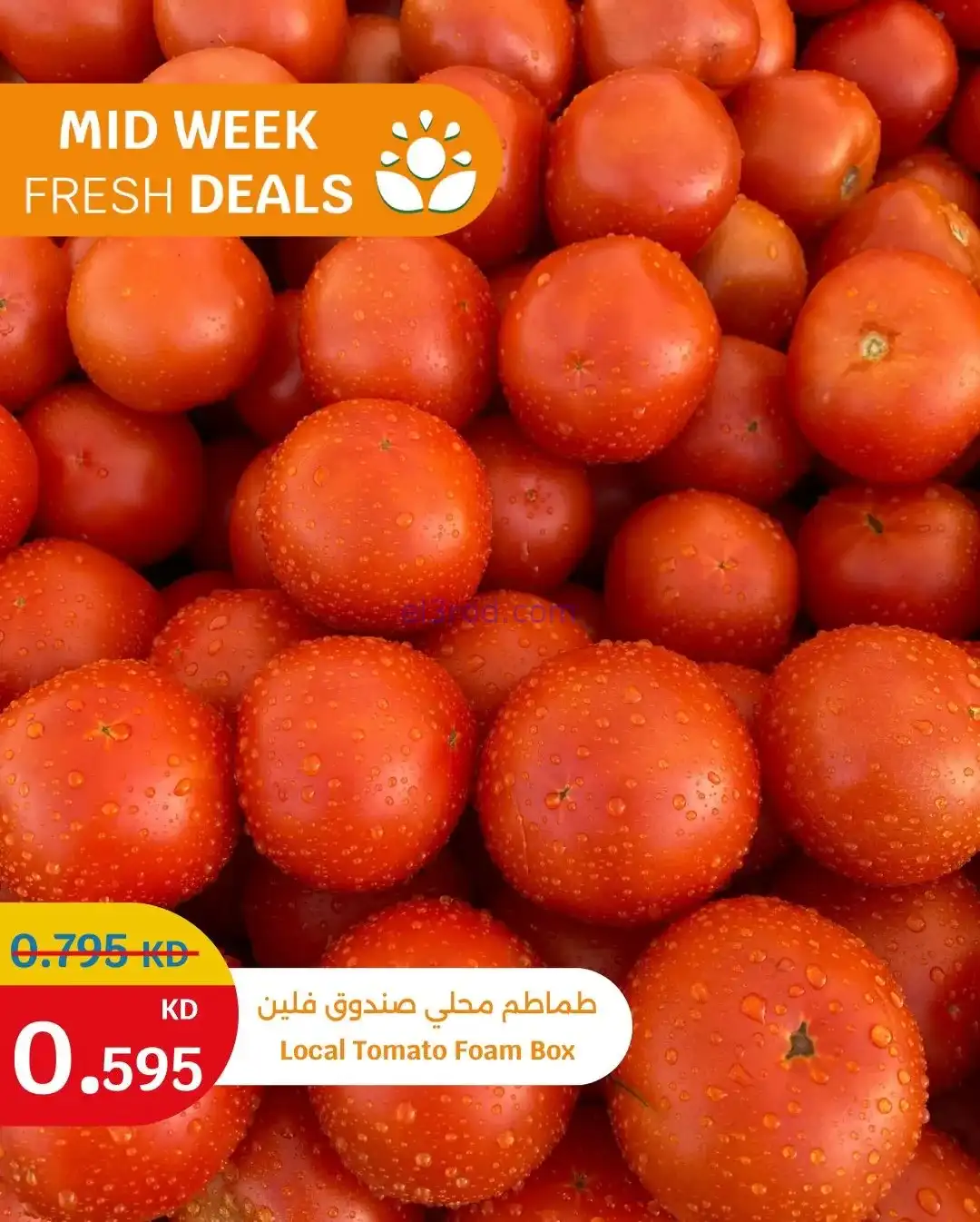 عروض سيتى ماركت الكويت|طازجة|26 حتى 27-1-2026
