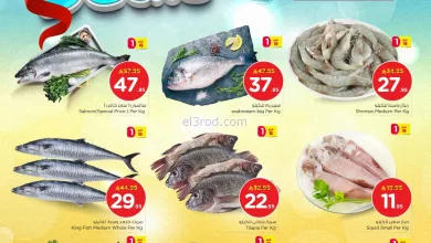 عروض نستو الاحسا السعودية|السمك|24-1-2026 el3rod.com00044