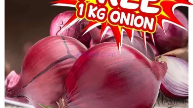 el3rod.com00001