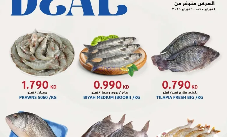 el3rod.com00001