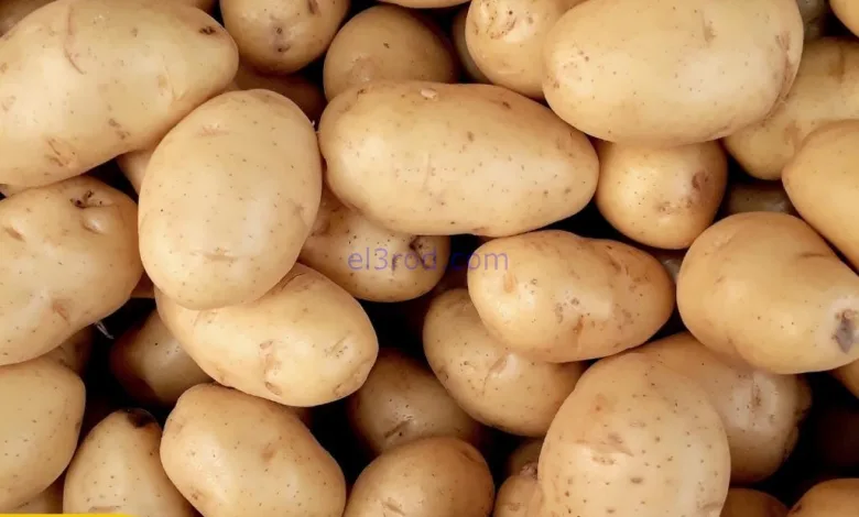 عروض سيتى ماركت الكويت|2 جتى 3-2-2026 el3rod.com00001