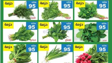 عروض مؤسسة حصاد البساتين سعودية|16 حتى 17-2-2026 el3rod.com00001