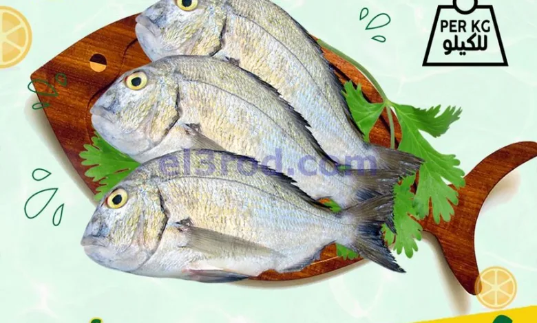 el3rod.com00001