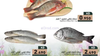 el3rod.com00002