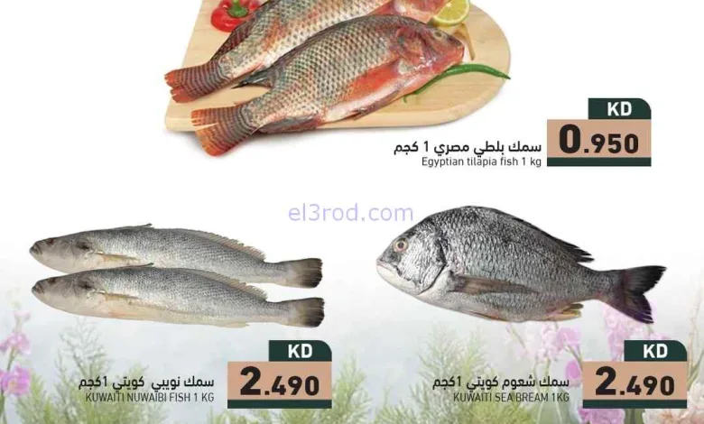 el3rod.com00002