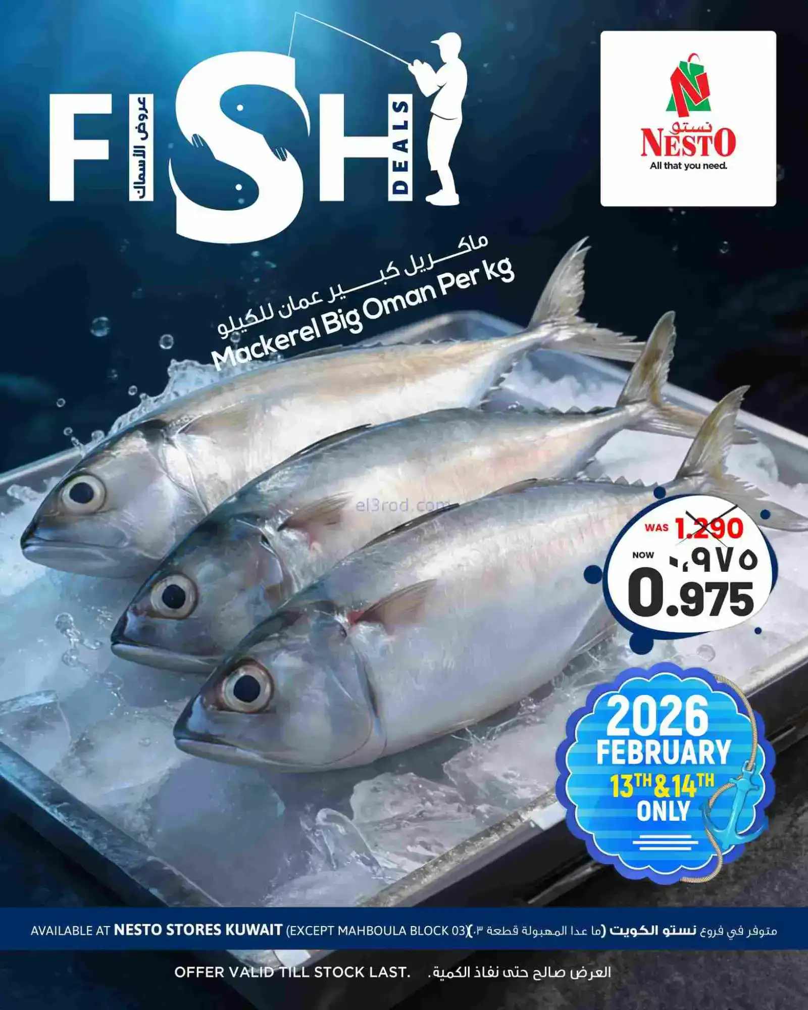 عروض نستو الكويت|صفقات الأسماك|13 حتى 14-2-2026