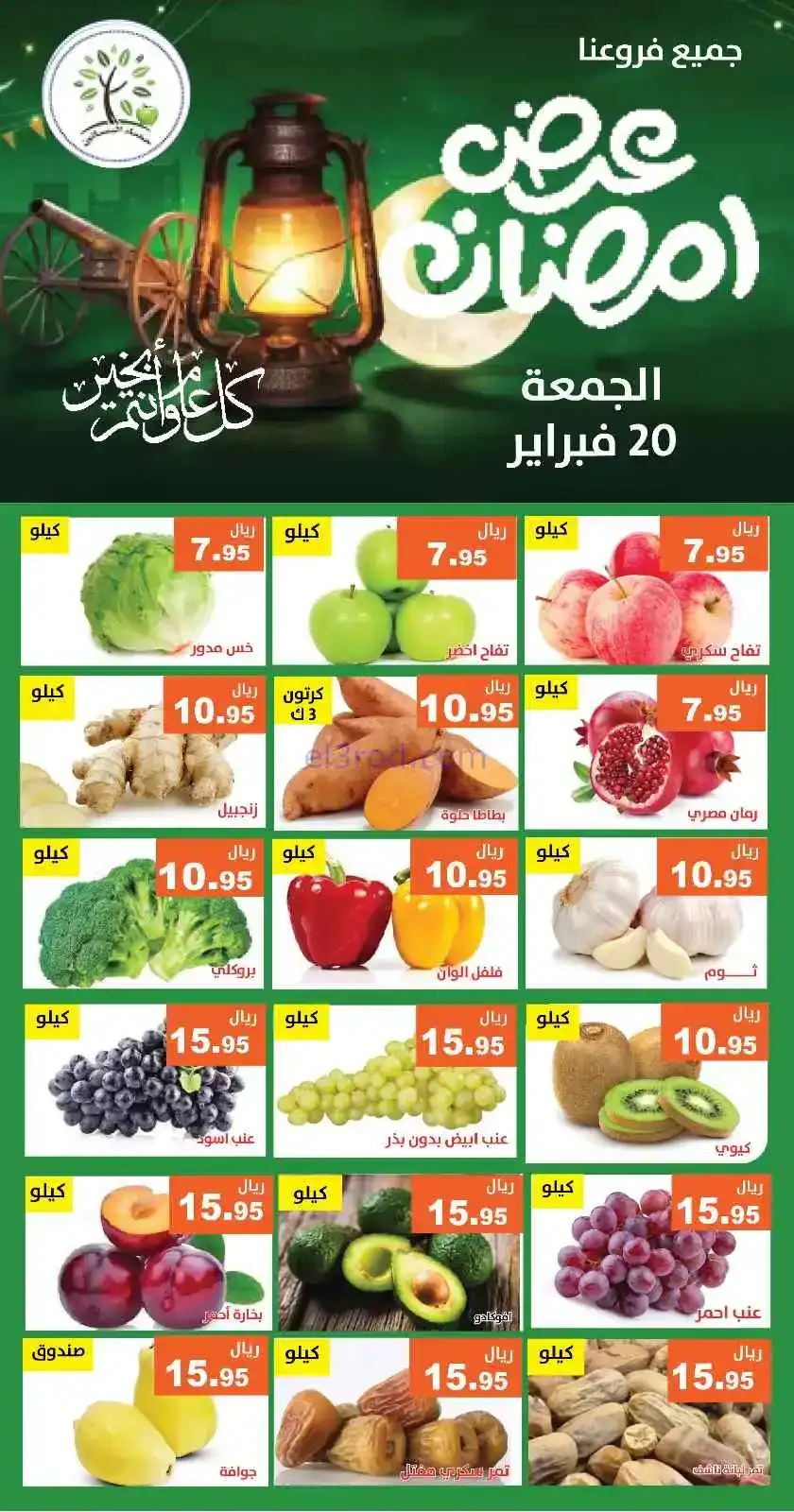 عروض مؤسسة حصاد البساتين السعودية|20-2-2026