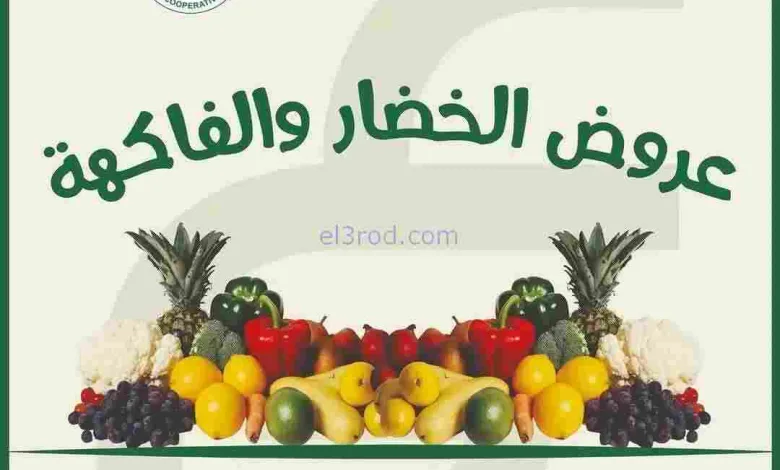 el3rod.com00004