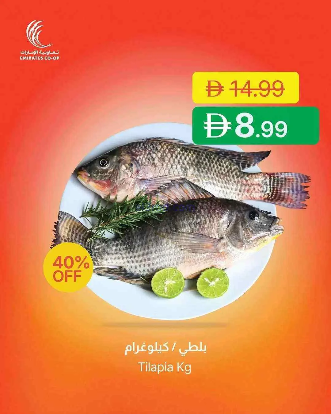 عروض جمعية الإمارات التعاونية|تموين|حتى 2-3-2026