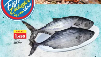 el3rod.com00001