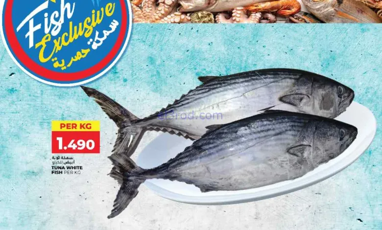 el3rod.com00001