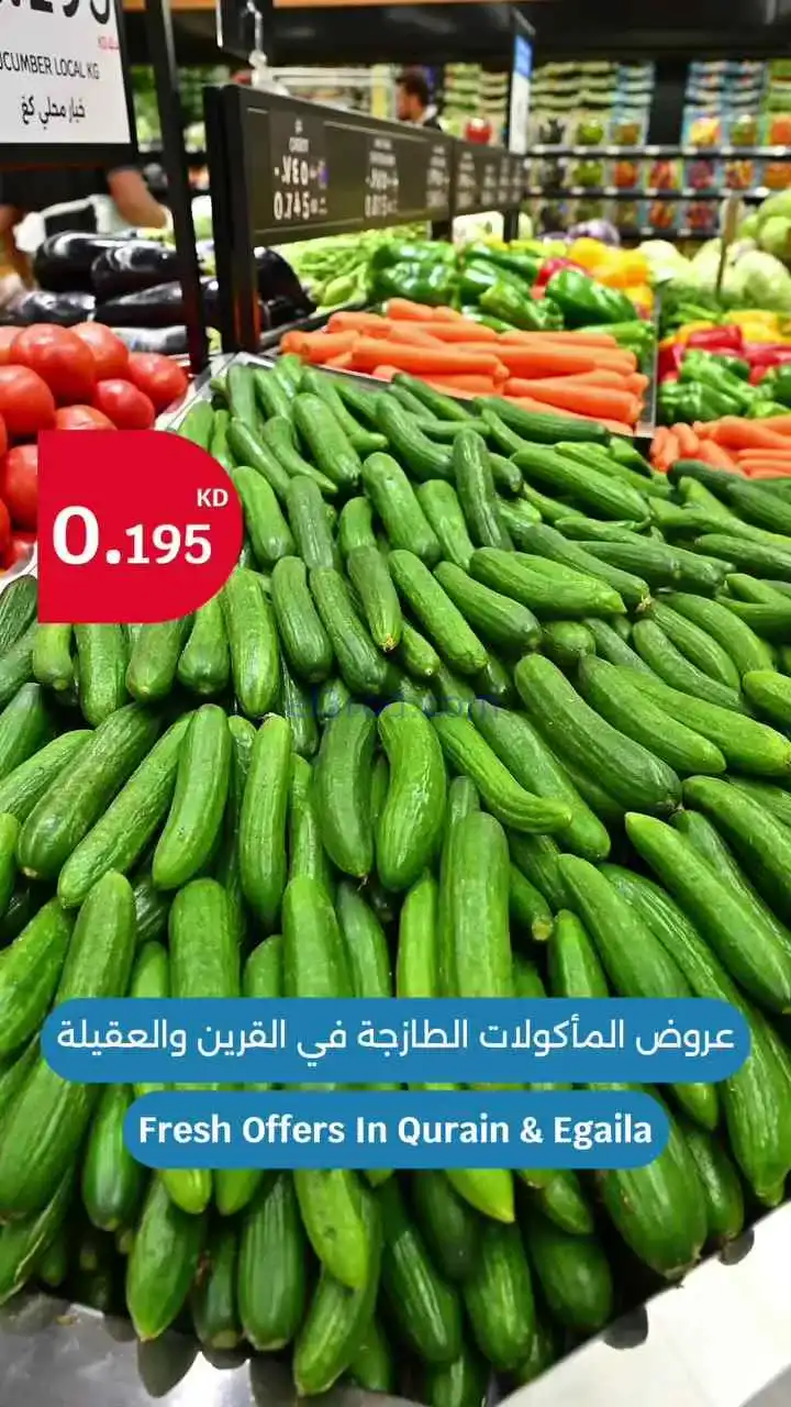 عروض سيتى ماركت الكويت|طازجة|23 حتى 24-3-2026