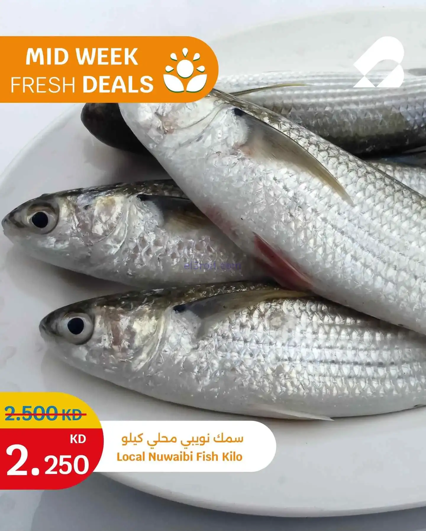 عروض سيتى ماركت الكويت|الطازجة|2 حتى 3-3-2026