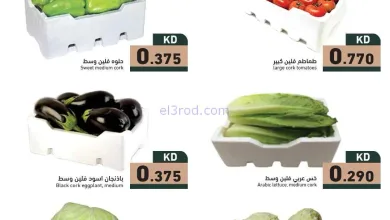 el3rod.com00007