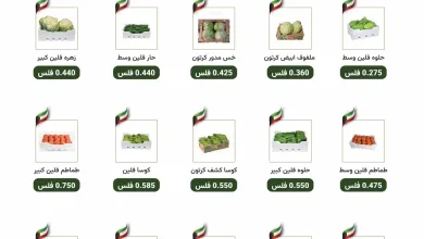 بلا عنوان