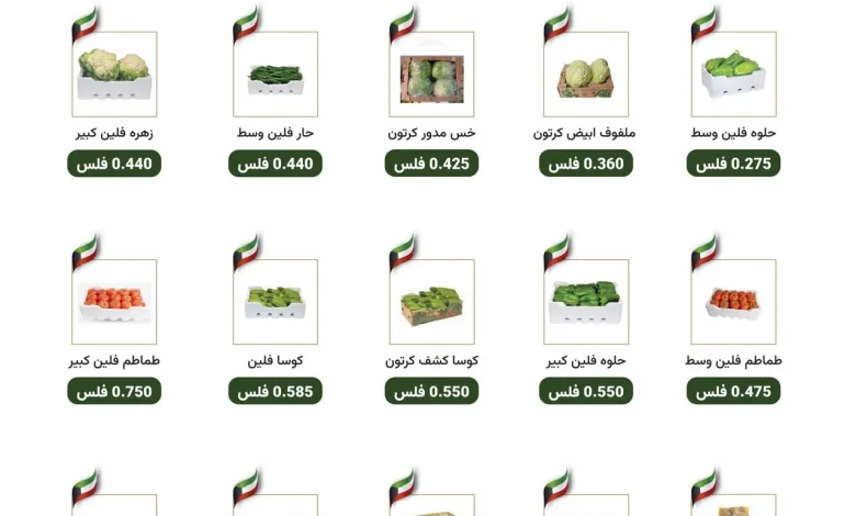 بلا عنوان